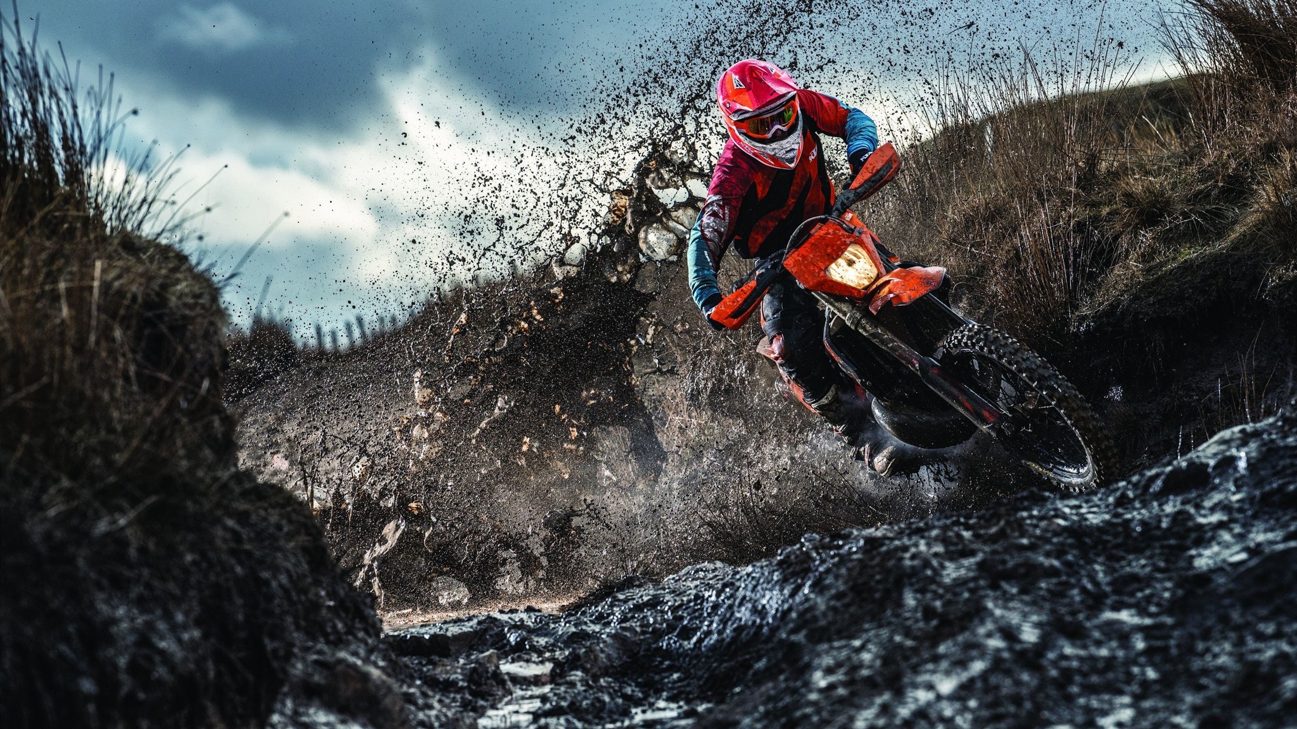 WRC冠军之路:车手如何攀登巅峰,wrc车手的车技有多高