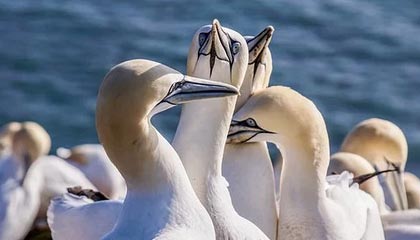 九游娱乐(jiuyou)官网-中国足球职业俱乐部强化教练团队梯队构建，足球队教练组架构