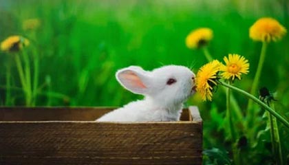 九游娱乐(jiuyou)官网-中国足球职业俱乐部强化教练团队梯队构建，足球队教练组架构